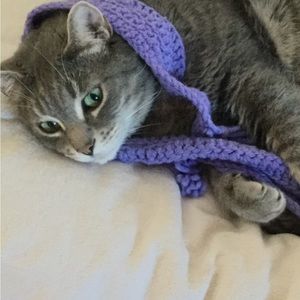 Meet your Posher, Linda